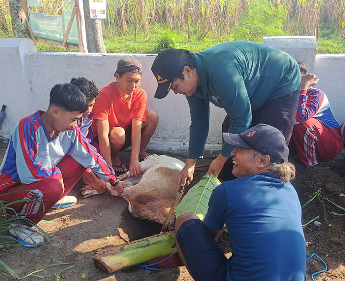 MTsN 10 Blitar Gelar Penyembelihan Hewan Kurban Iduladha 1447 H